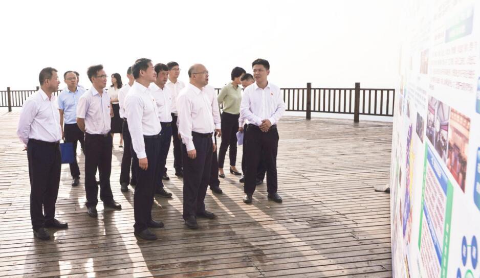 ʡίί֯׵Ĵ88858ccŵָ