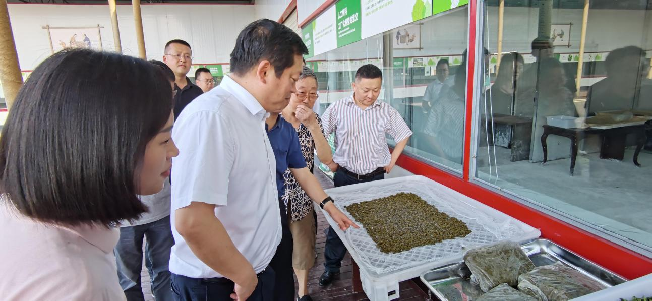 a5cc3f31-0636-46ef-9545-f0b9bcb0f95e