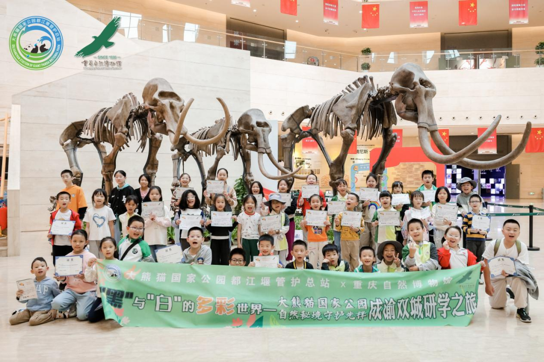 e08aec6d-b1dc-4014-9420-38e22c0dbfc1